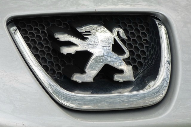 Tylna Belka W Peugeot 206 – Najczęstsze Objawy Uszkodzenia. Czy Tylną Belkę Można Naprawić Samemu? - Blog Seniora